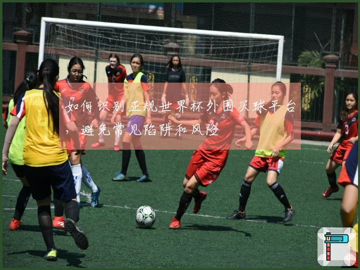 如何识别正规世界杯外围买球平台，避免常见陷阱和风险