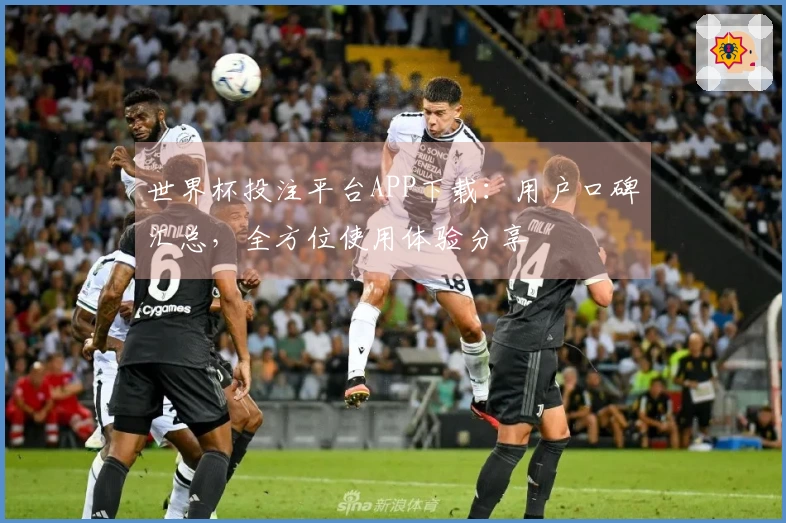 世界杯投注平台APP下载：用户口碑汇总，全方位使用体验分享