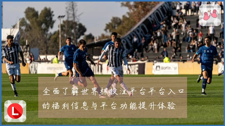 全面了解世界杯投注平台平台入口的福利信息与平台功能提升体验