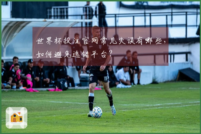 世界杯投注官网常见失误有哪些，如何避免选错平台？