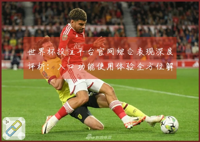 世界杯投注平台官网综合表现深度评析：入口功能使用体验全方位解析