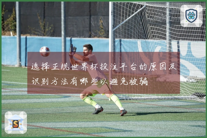 选择正规世界杯投注平台的原因及识别方法有哪些以避免被骗