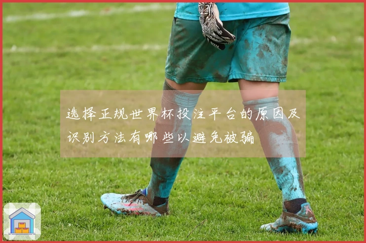 选择正规世界杯投注平台的原因及识别方法有哪些以避免被骗