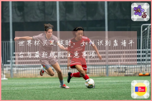 世界杯买足球时，如何识别靠谱平台与最新规则注意事项