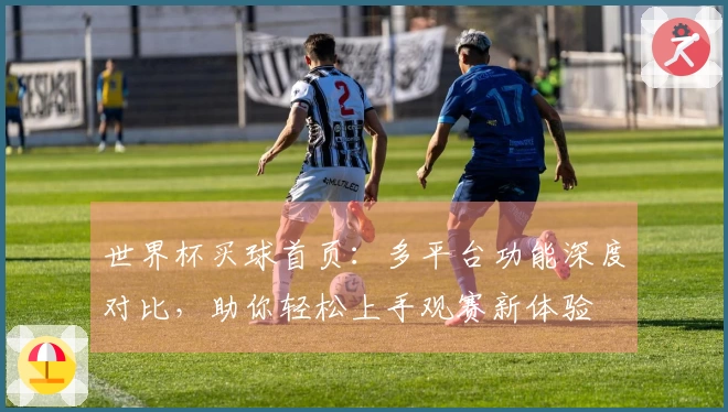 世界杯买球首页：多平台功能深度对比，助你轻松上手观赛新体验